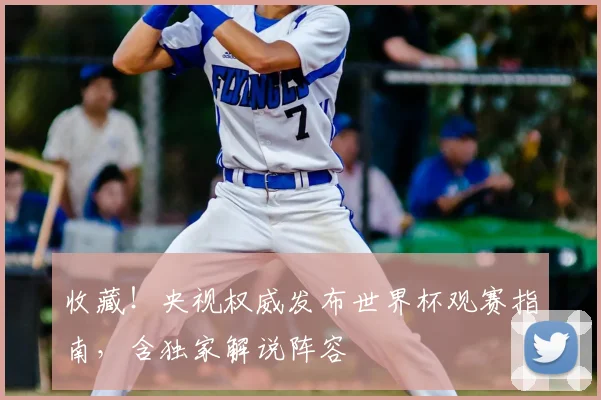 收藏！央视权威发布世界杯观赛指南，含独家解说阵容