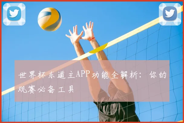 世界杯东道主APP功能全解析：你的观赛必备工具