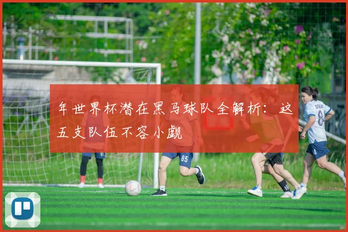 年世界杯潜在黑马球队全解析:这五支队伍不容小觑
