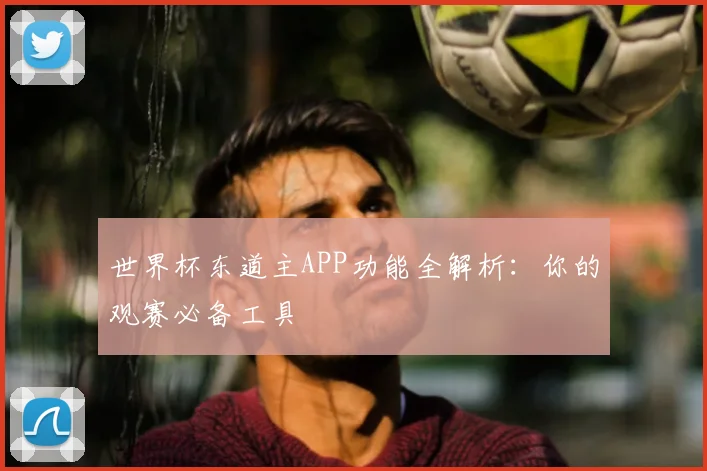世界杯东道主APP功能全解析：你的观赛必备工具
