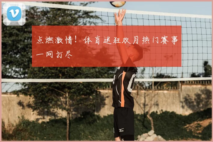 点燃激情！体育迷狂欢月热门赛事一网打尽